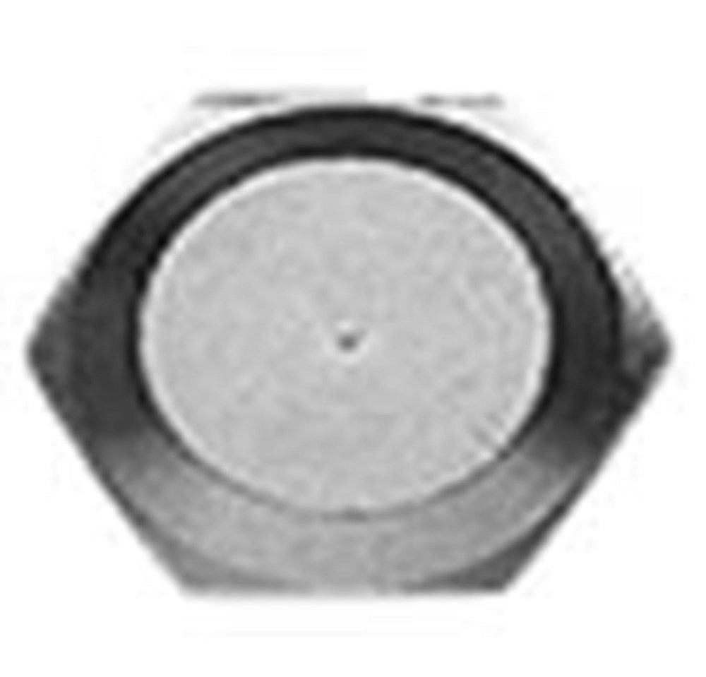 #56 CAP NUT 1/4" SAEF